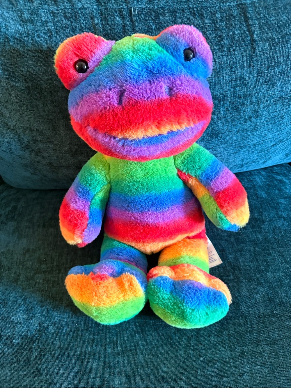 2022 Pride Frog